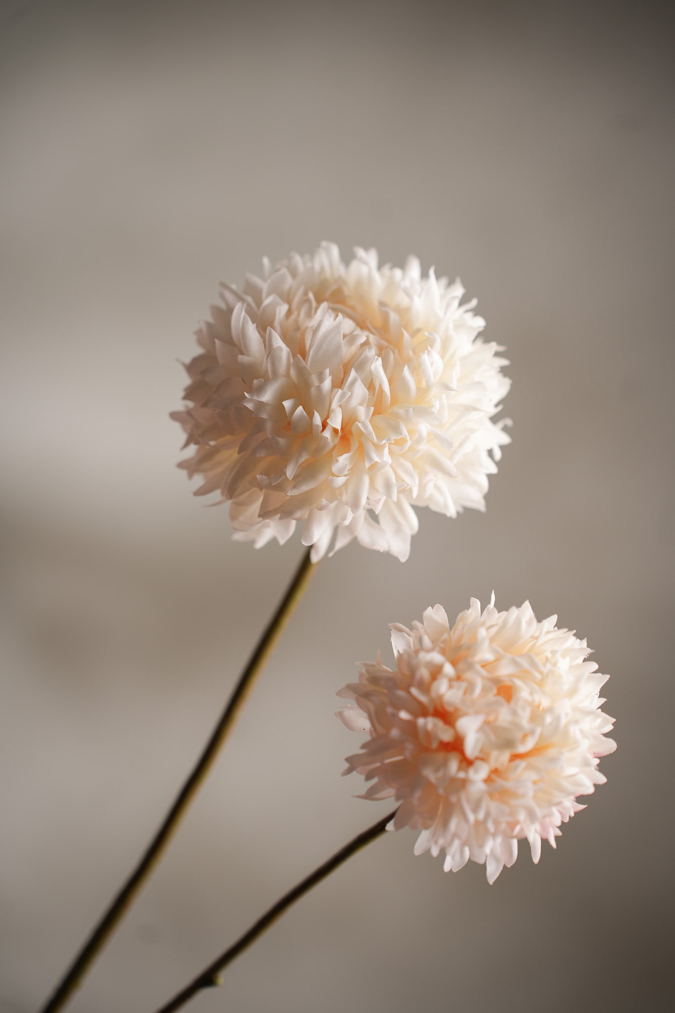 Konstgjord cream Chrysanthemum 65cm