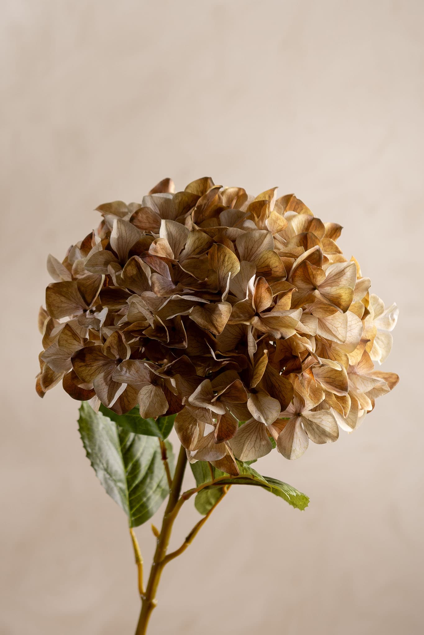 Konstgjord beige Hortensia 110cm
