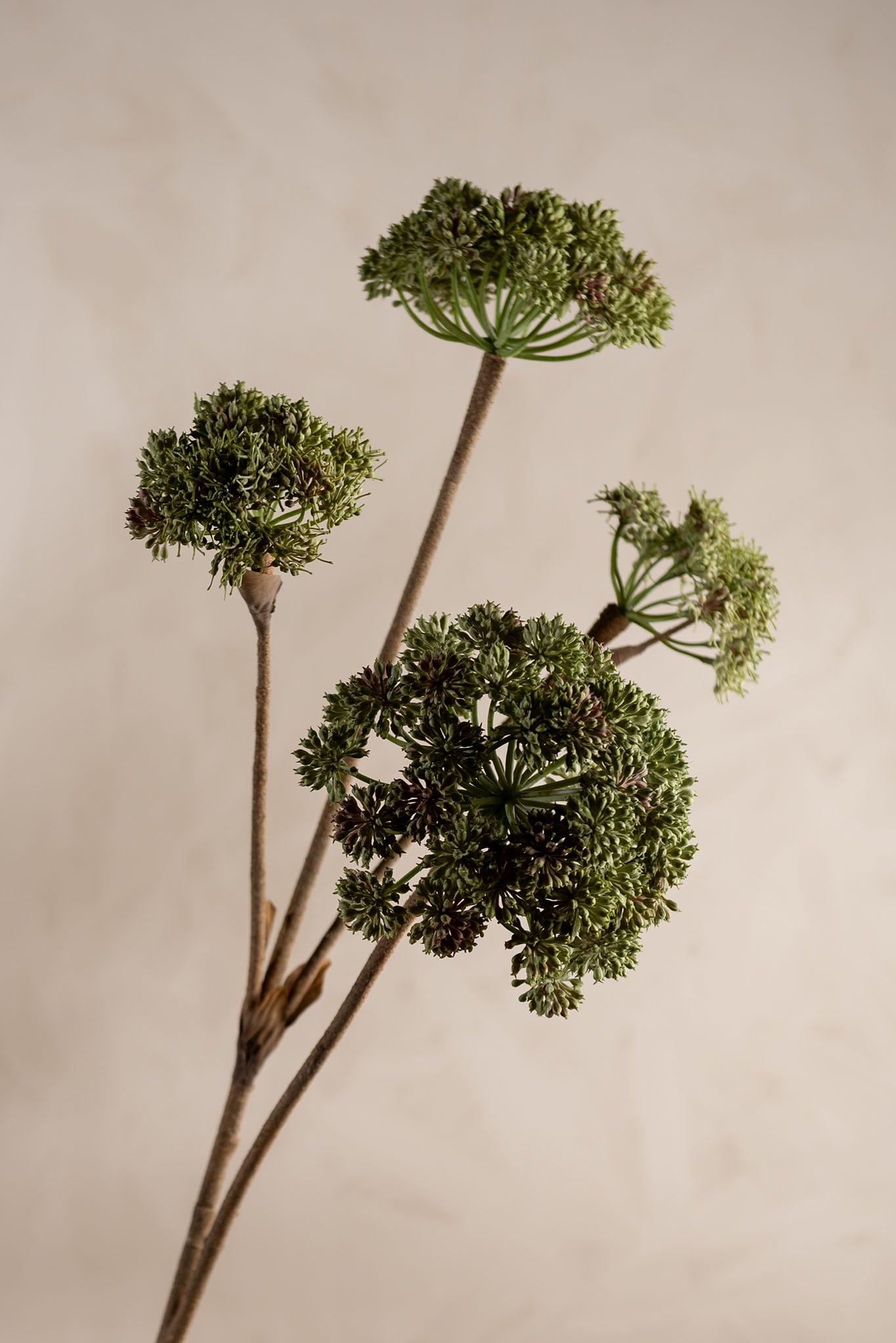 Konstgjord grön Angelica 125cm