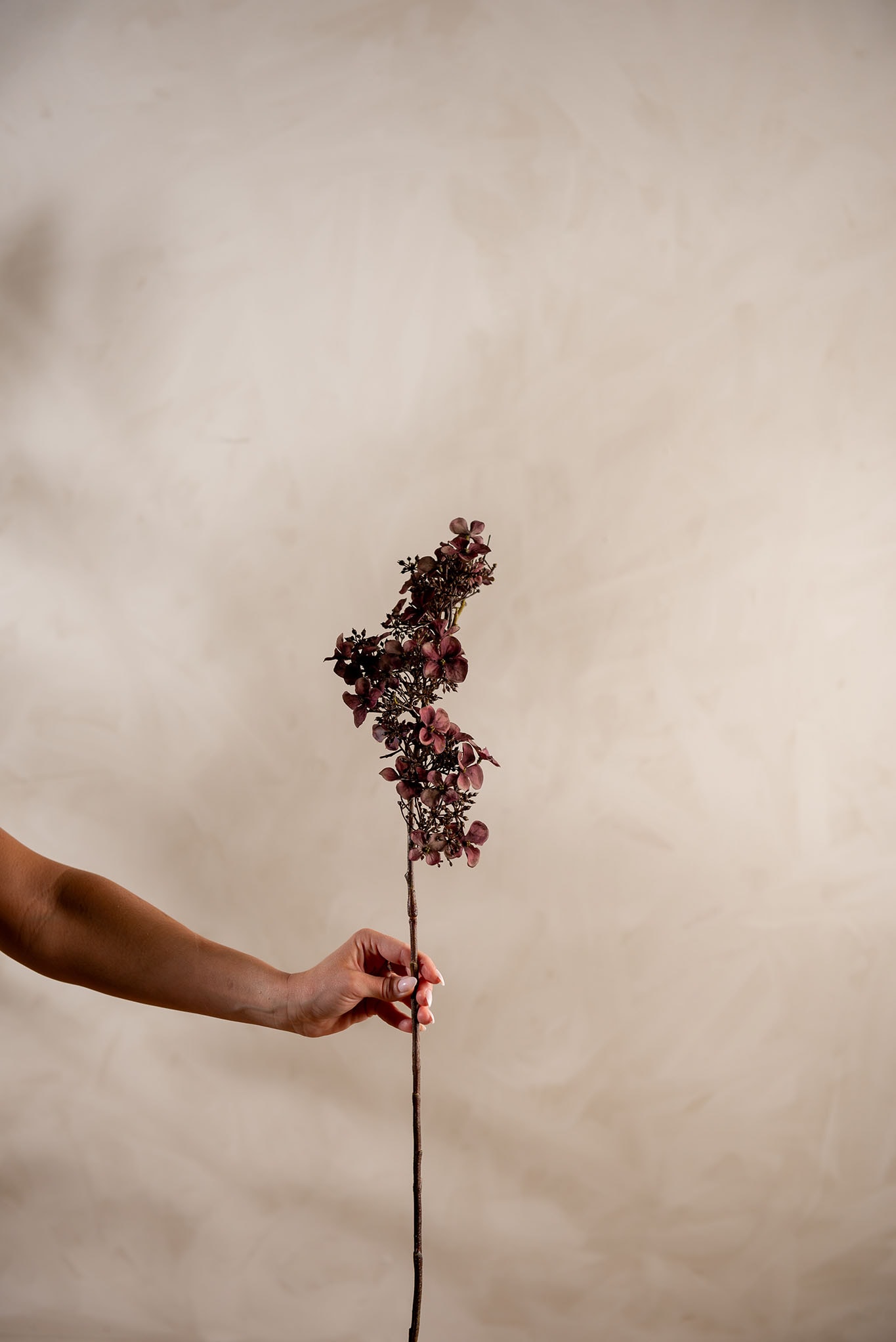 Konstgjord burgundy Hortensia 89cm