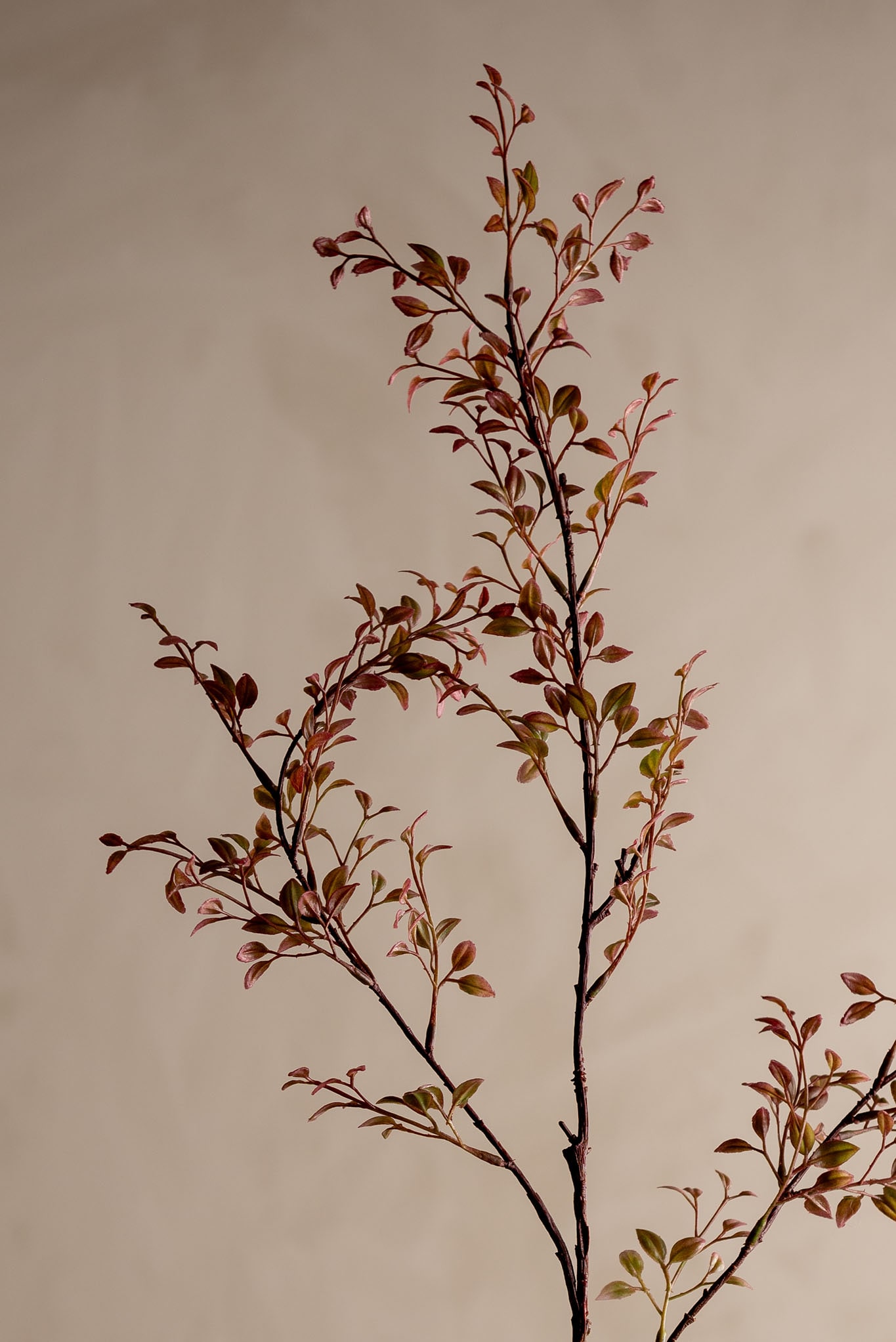 Konstgjord rosa Ruscus 100cm