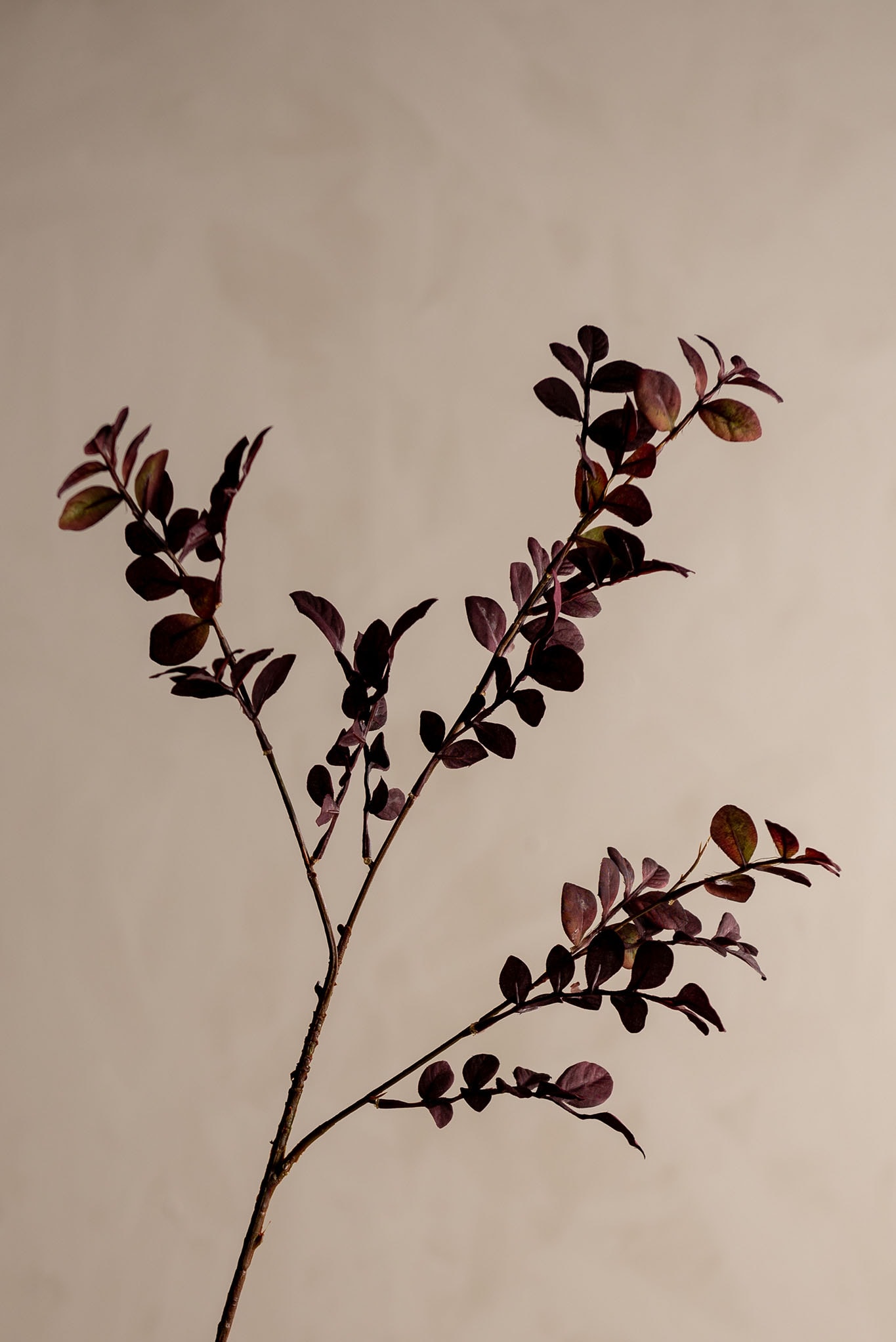 Konstgjord burgundy Kvist 78cm