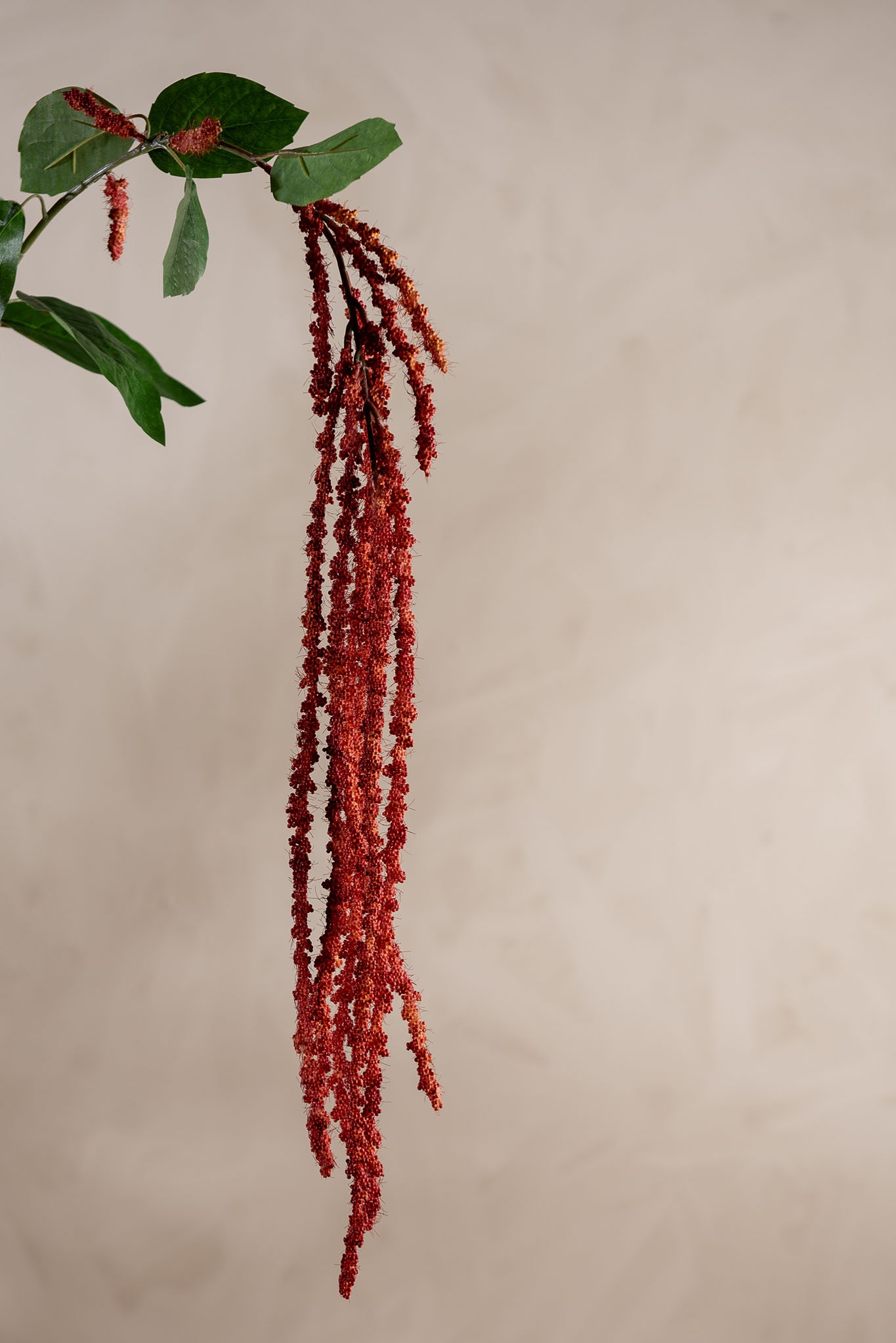Konstgjord korall Amaranthus 105cm