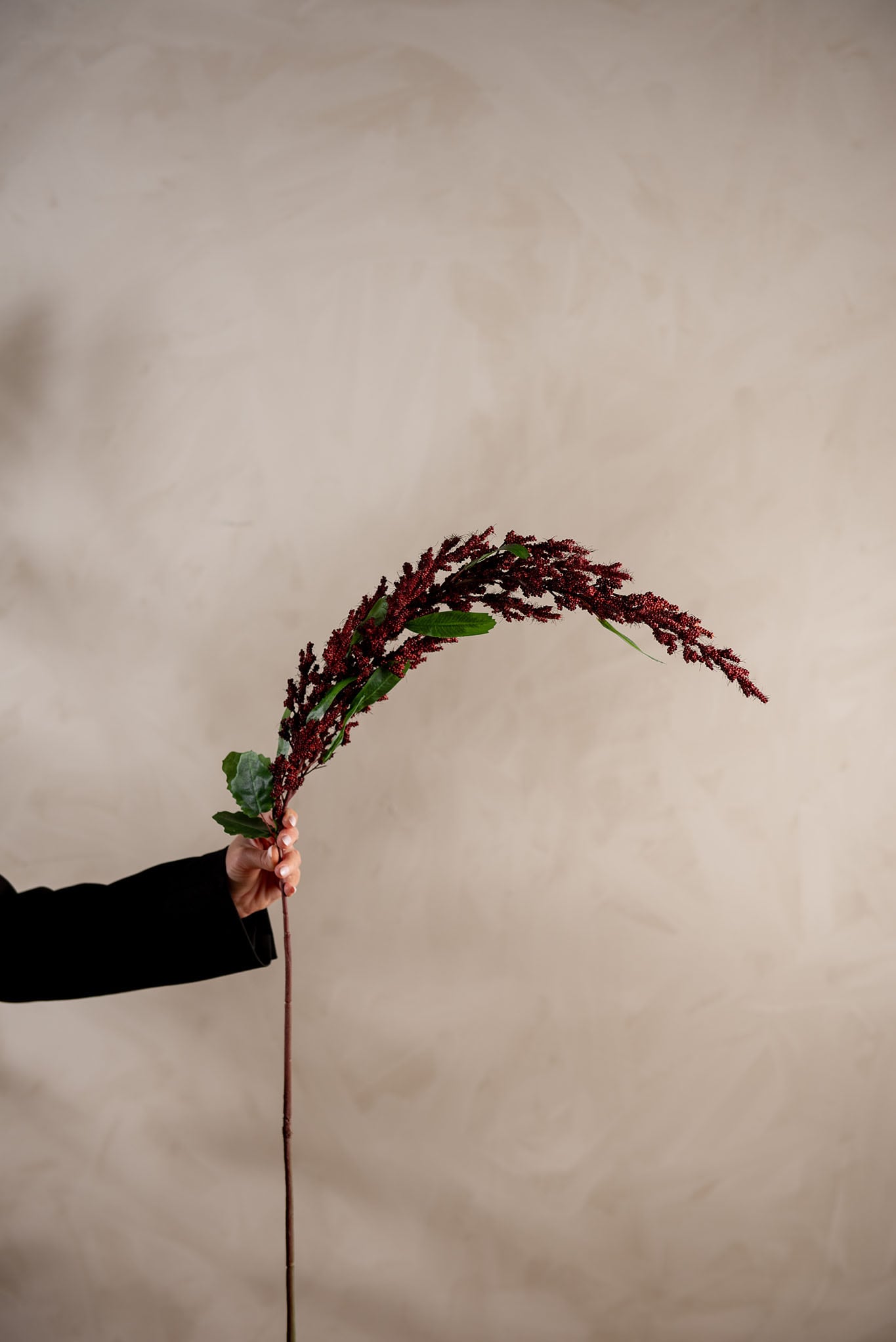 Konstgjord burgundy Amaranthus 95cm