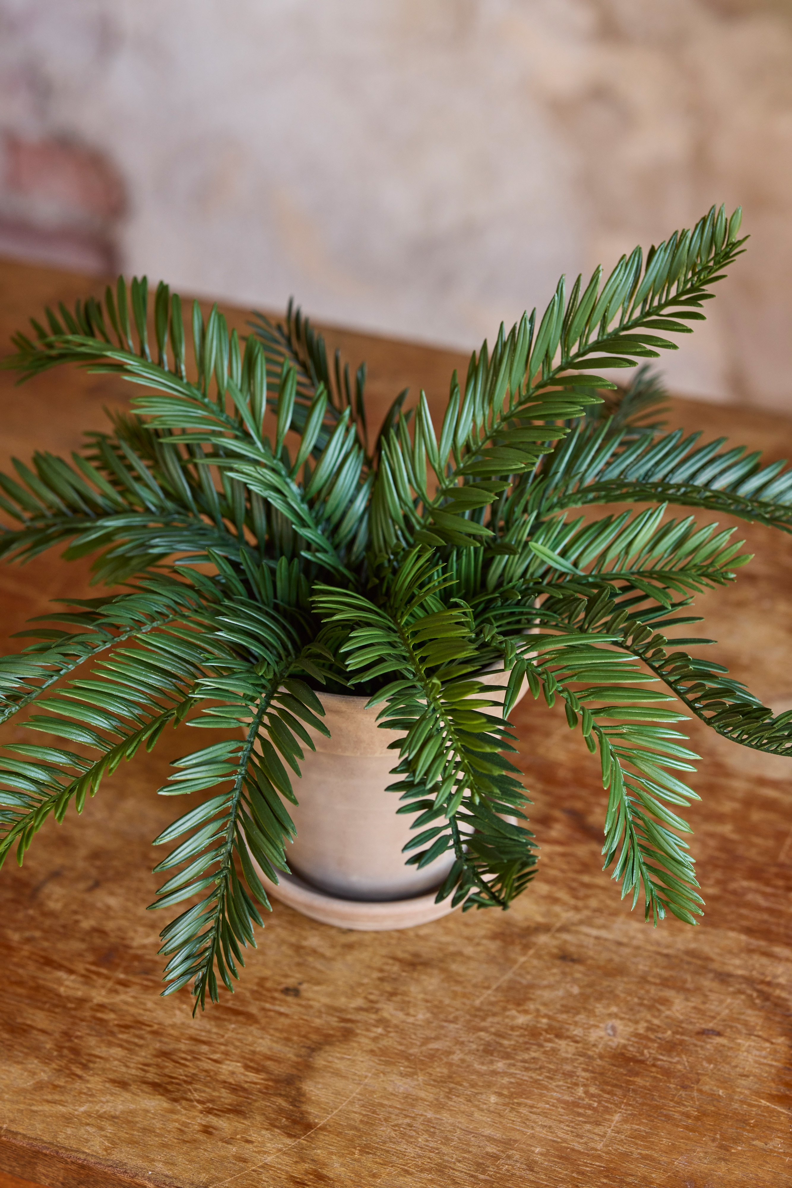Konstgjord grön Cycas 20cm