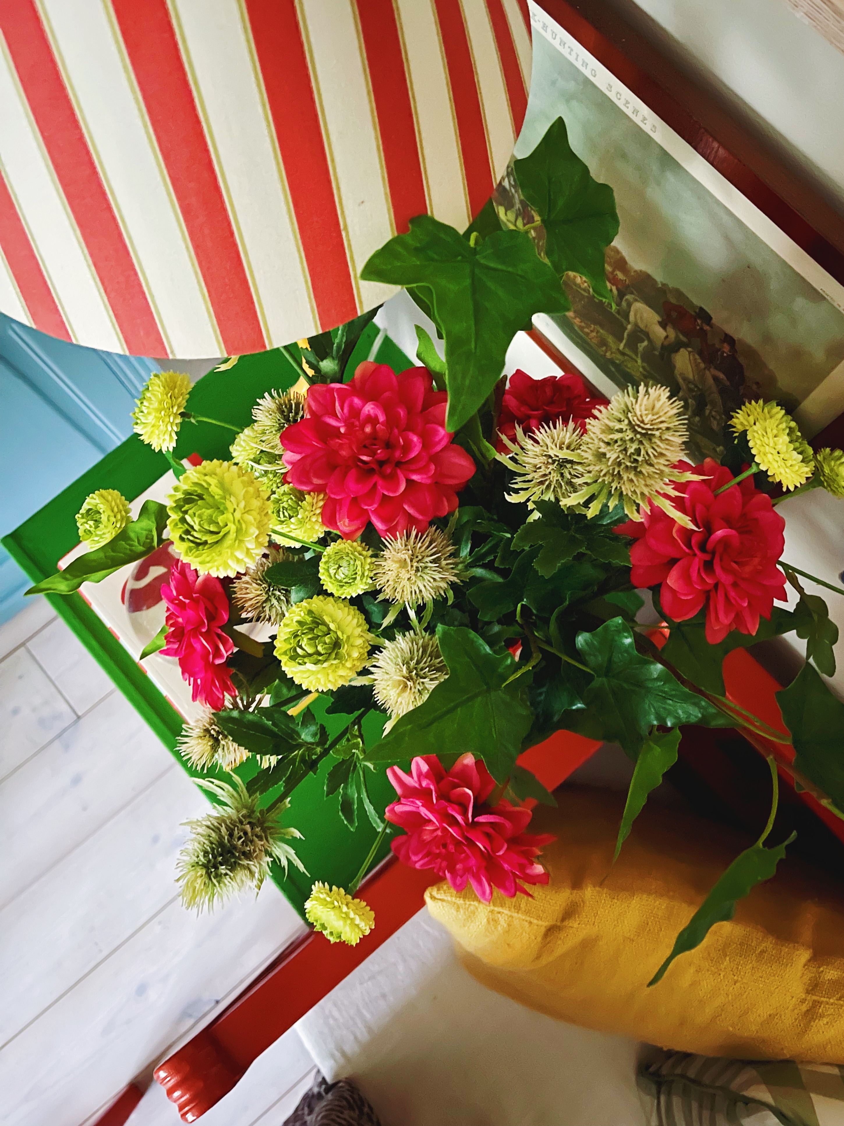 Mosebacke X Mr Plant 